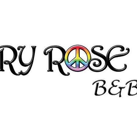 Bed and Breakfast Mary Rose Кастель-Вольтурно Екстер'єр фото